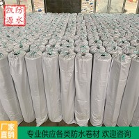 非沥青基高分子自粘胶膜防水卷材
