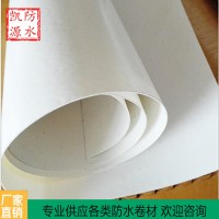 非沥青基自粘胶膜防水卷材