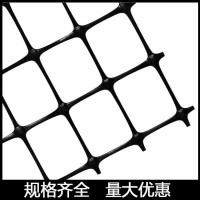 双向土工格栅价格