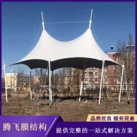 膜结构景观厂家