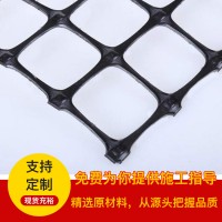 双向土工格栅