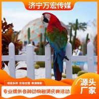 百鸟展租赁
