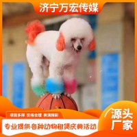 小狗表演租赁
