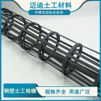 双向钢塑土工格栅