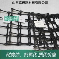 塑料双向格栅厂家