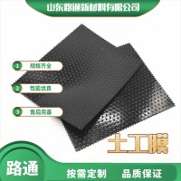 聚乙烯土工膜HDPE土工膜