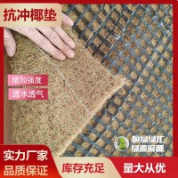 水保抗冲椰垫