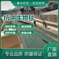抗冲生物毯