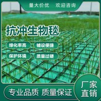 抗冲生物毯厂家