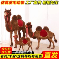 仿真骆驼生产厂家