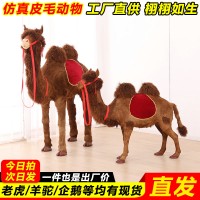 仿真骆驼价格