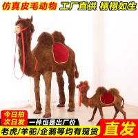 手工仿真骆驼厂家