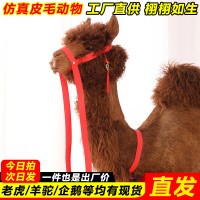 仿真动物模型