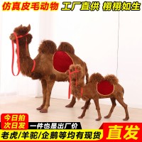 户外仿真骆驼模型